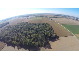 Tracts 11-13 - LAND & REAL ESTATE AUCTION, 450+/- Acres offered in 17 Tracts of Highly Productive, Tillable Crop Land
